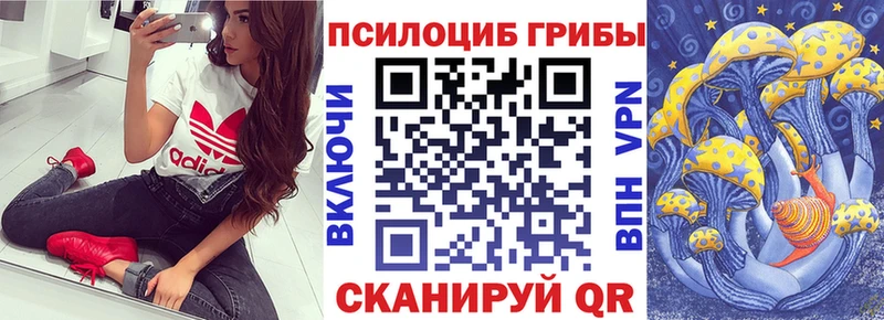 Псилоцибиновые грибы MAGIC MUSHROOMS  Коммунар 