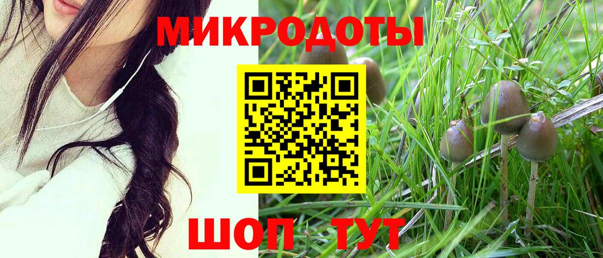 Псилоцибиновые грибы прущие грибы  купить наркоту  Коммунар  Вход с VPN  Галлюциногенные грибы Psilocybe 