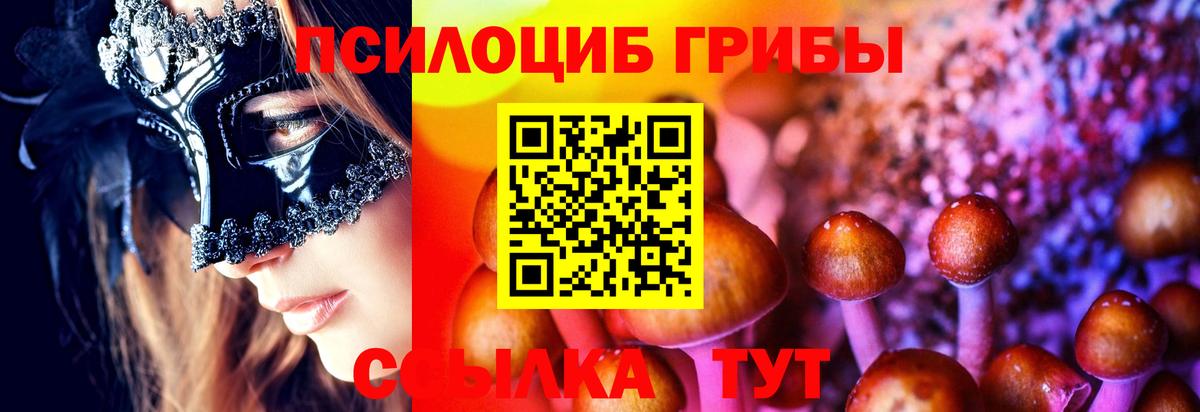 Псилоцибиновые грибы GOLDEN TEACHER  Псилоцибиновые грибы Psilocybe  Коммунар 