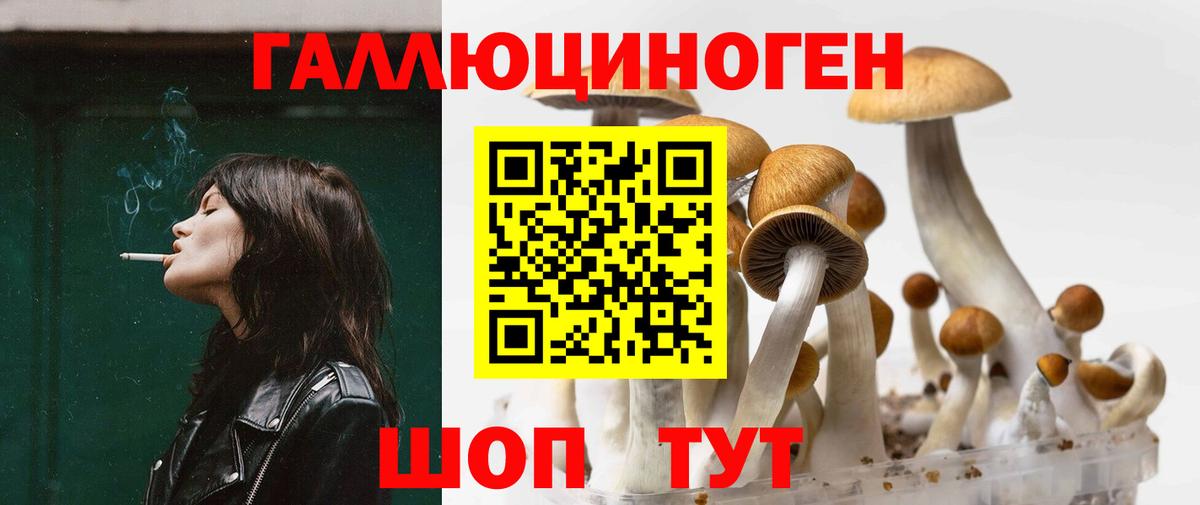 Галлюциногенные грибы Psilocybe Коммунар